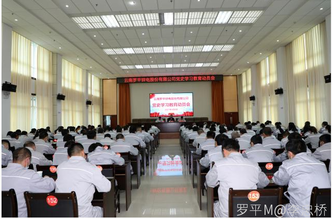 云南羅平鋅電股份有限公司召開黨史學(xué)習(xí)教育動(dòng)員會(huì)